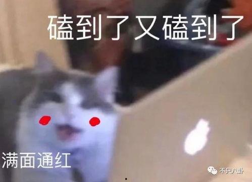 娱乐吃瓜酱emo,揭秘娱乐圈幕后故事