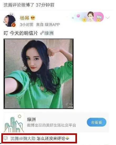 娱乐圈吃瓜网站有哪些,揭秘热门八卦平台